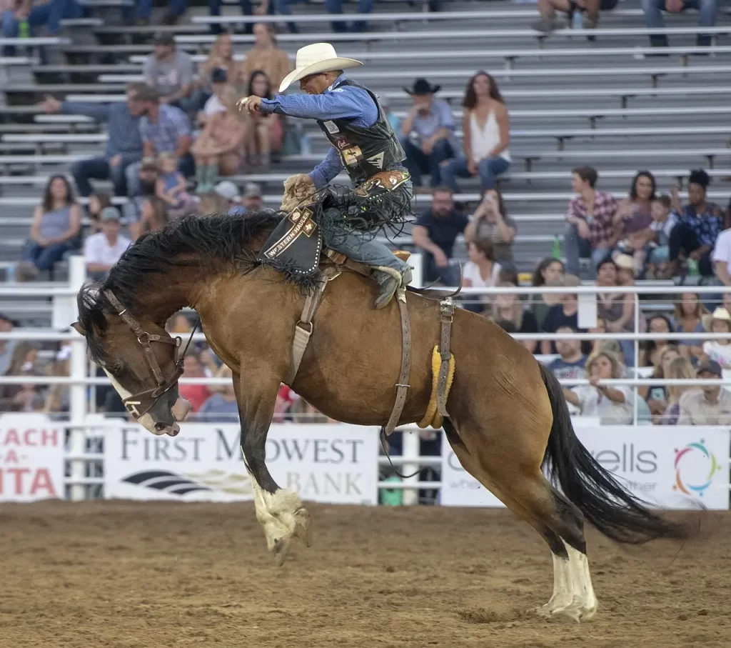 Hombre de Rodeo